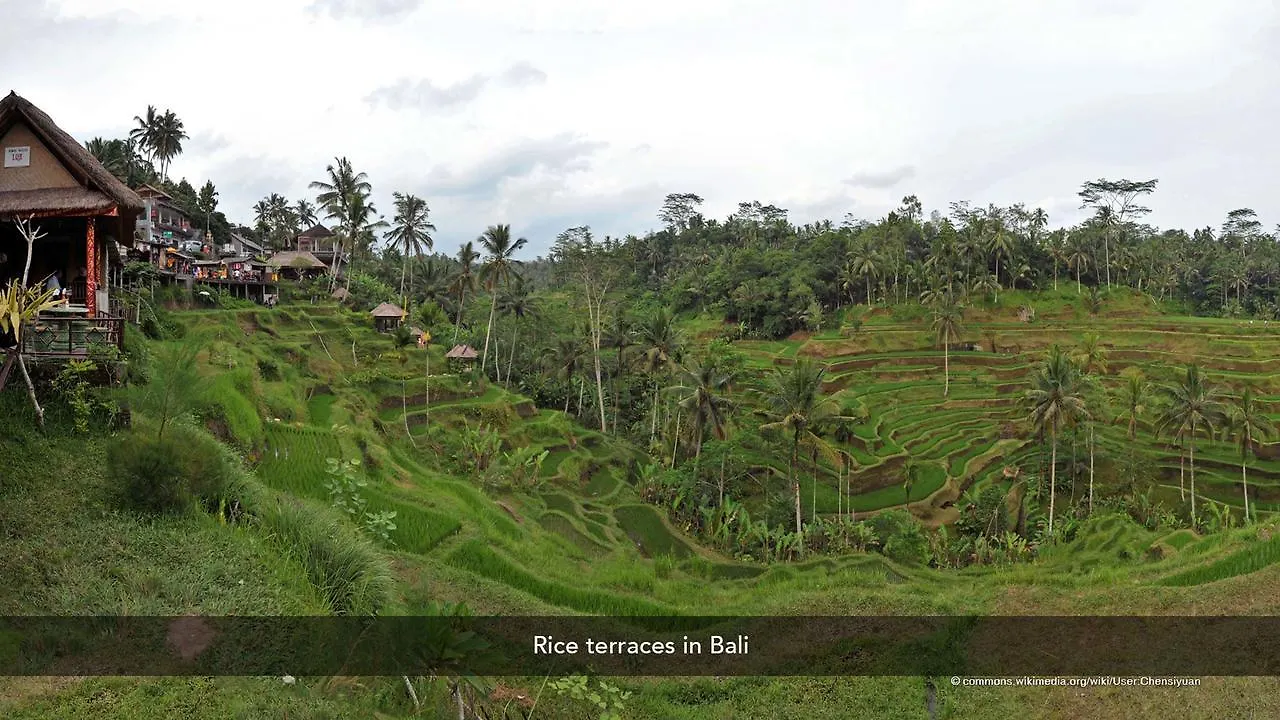 Zen Rooms Ubud Sumampan Indonesien